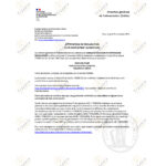 Résine de Shilajit – Image 3